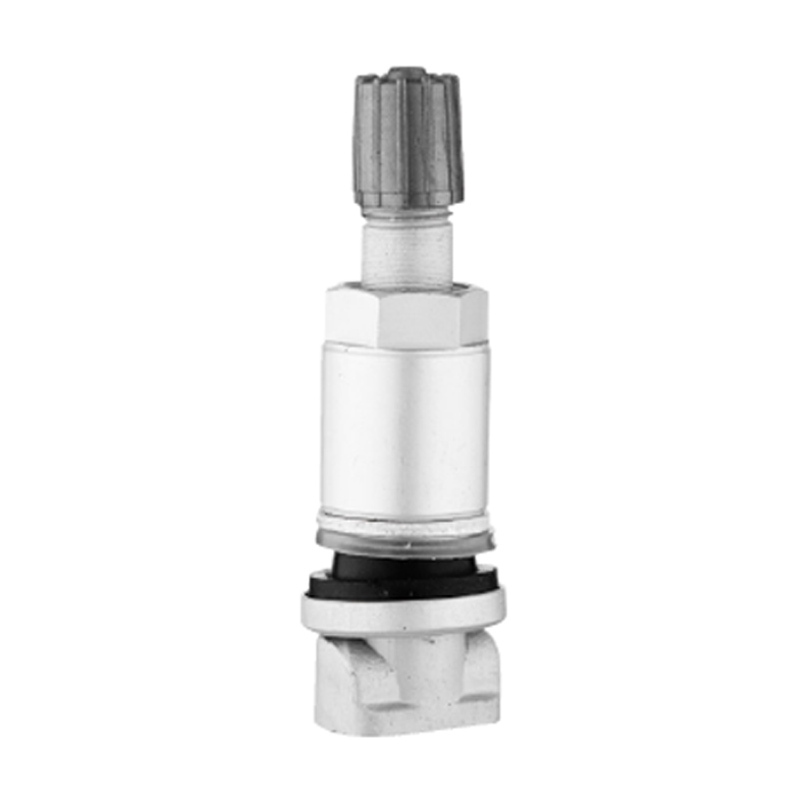 شیرهای TPMS-TPMS-01